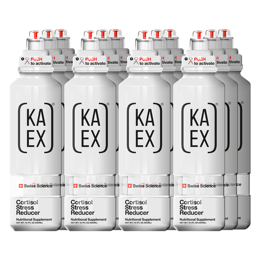 KA-EX GO image 0