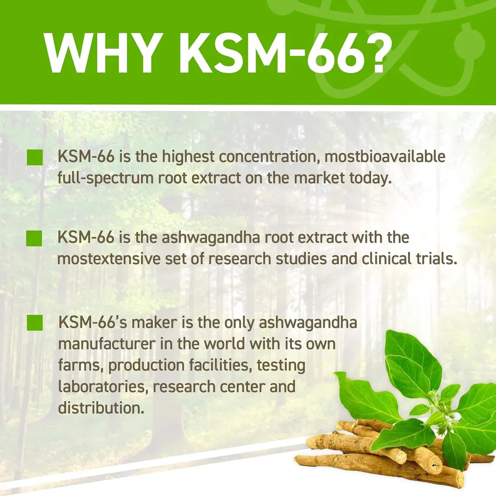 Applied Nutrition Ashwagandha KSM-66