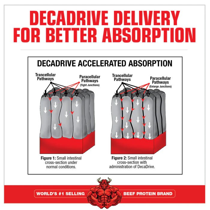 Diagram showing Decadrive delivery for better absorption with a beef protein brand logo.