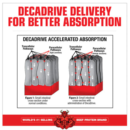 MuscleMeds Glutamine Decanate 300g