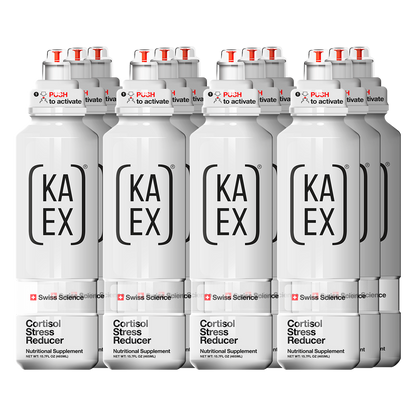 KA-EX GO image 0