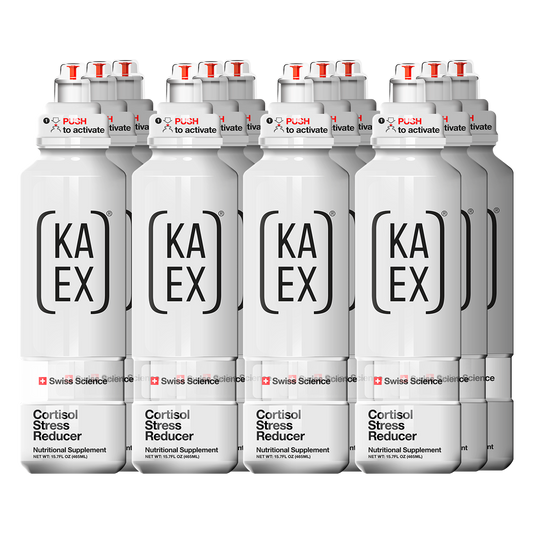 KA-EX GO image 0