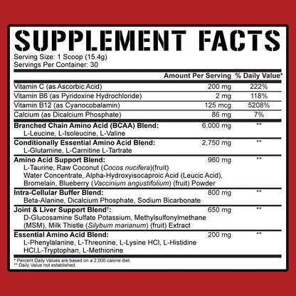 Rich Piana 5% Nutrition All Day You May Legendary Series 465g